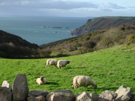 Un des versants Herquevillais