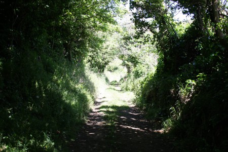 Une nature ressourcante