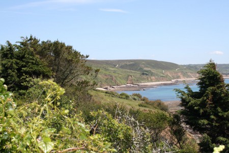 Pétillante beauté d'un rivage