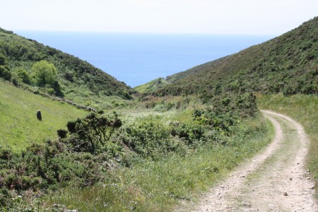 Une nature sauvage préservée