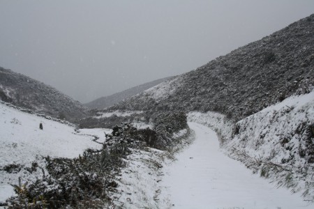 La neige tapissant les versants de nos collines